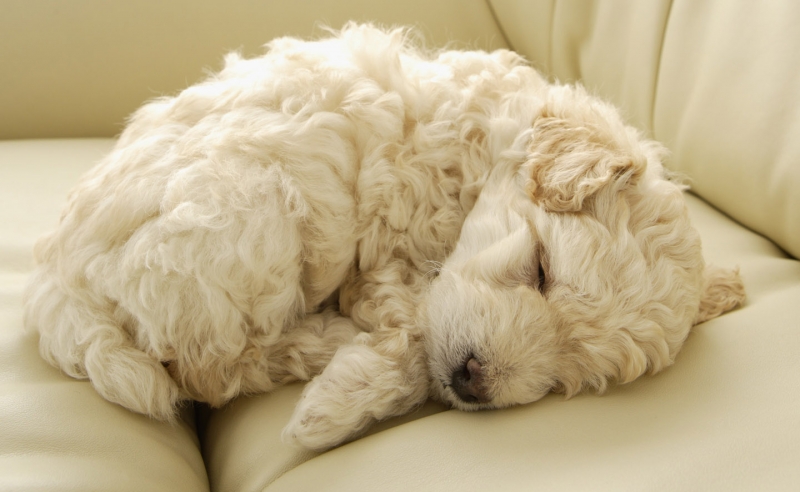 文子qq1812980862的主页 - 自拍秀